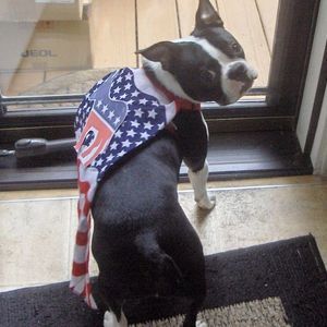 Meet your Posher, Al